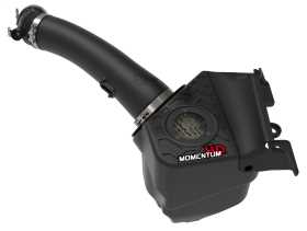 Momentum GT Pro GUARD 7 Air Intake System 50-70062G