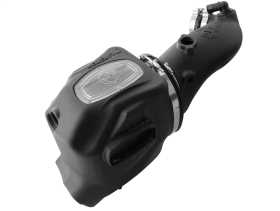 Momentum HD Pro DRY S Air Intake System 51-73004