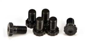 Flywheel Bolt Kit