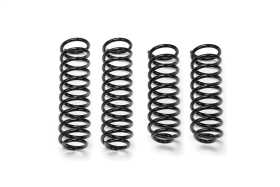 Coil Spring Kit FTS24161