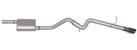 Cat-Back Exhaust System 319871