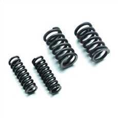Manual Trans Shift Rod Spring