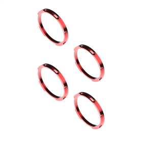 FLEX ERA® Bezel Kit 30579