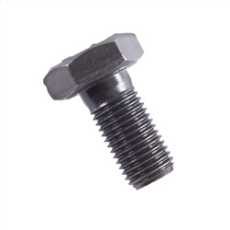 Ring and Pinion Bolt Set