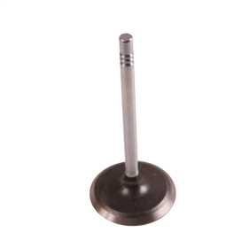 Intake Valve 17417.04