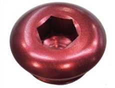 Fuel Fitting Plug